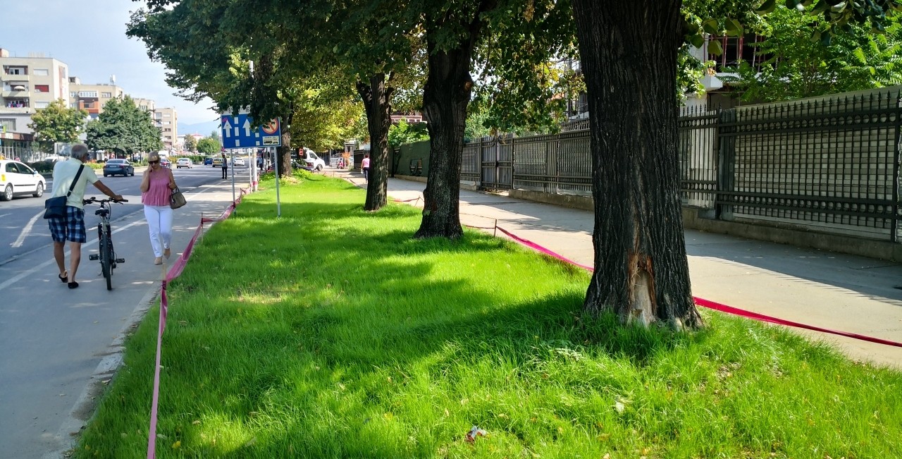 Уредено зеленило на бул. Крсте Петков Мисирков