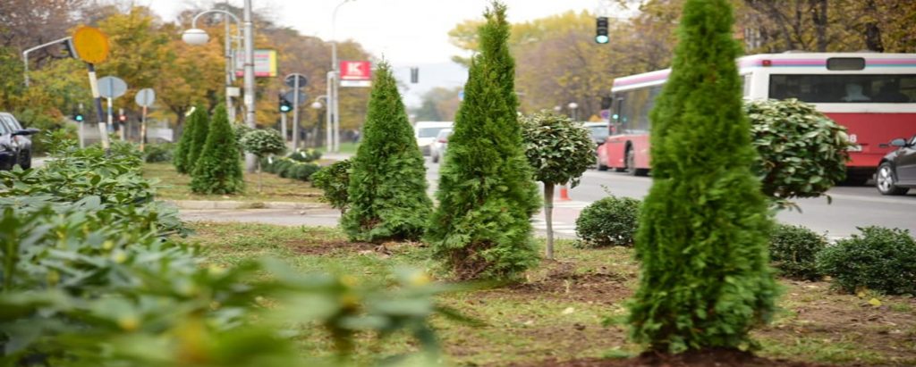 For the greenery, for Skopje!