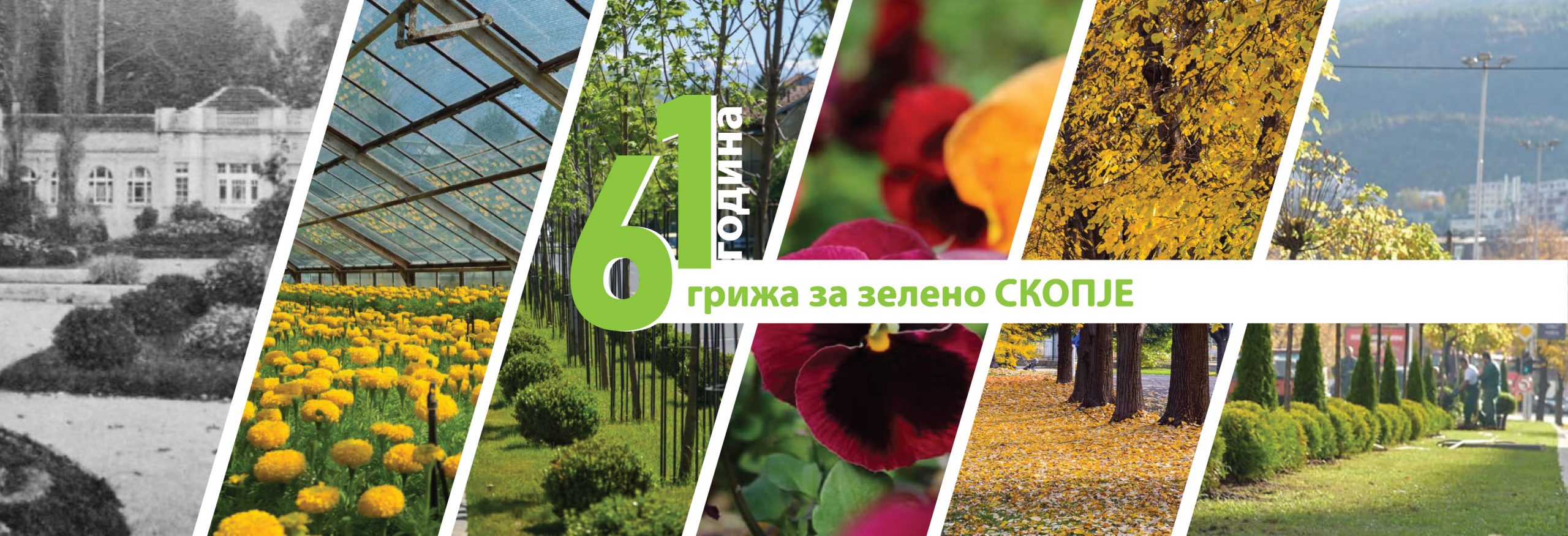 61 vjetor i NP Parqe dhe Gjelbërime – Shkup