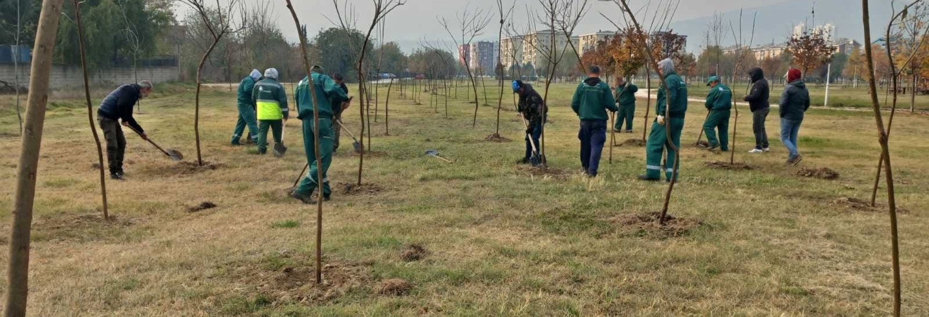 Рајски парк